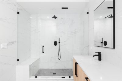Stylish Shower Door